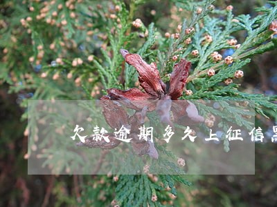 欠款逾期多久上征信黑名单 欠款逾期多久上征信黑名单