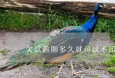 欠款逾期多久就可以不用还了 欠款逾期多久就可以不用还了