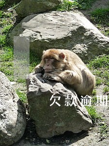 欠款逾期多久联系 欠款逾期多久联系