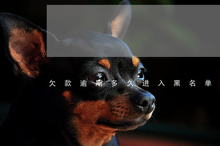 欠款逾期多久进入黑名单