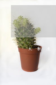 欠款逾期多久黑户 欠款逾期多久黑户