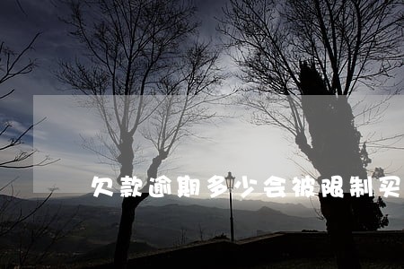 欠款逾期多少会被限制买机票
