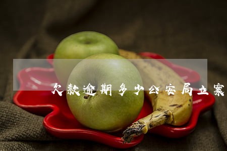 欠款逾期多少公安局立案 欠款逾期多少公安局立案