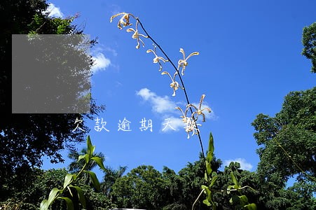 欠款逾期天数