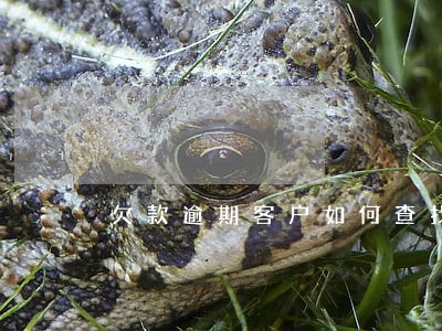 欠款逾期客户如何查找