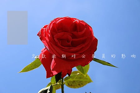 欠款逾期对公务员的影响 欠款逾期对公务员的影响