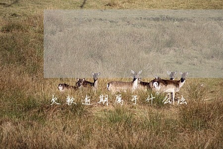 欠款逾期属于什么法 欠款逾期属于什么法