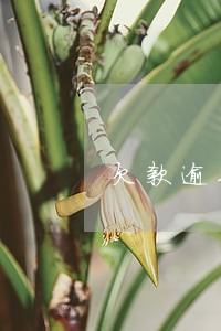 欠款逾期已久进入申诉程序 欠款逾期已久进入申诉程序