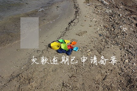 欠款逾期已申请备案 欠款逾期已申请备案