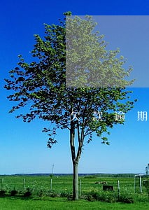 欠款逾期已达上限 欠款逾期已达上限
