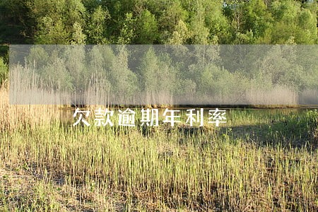 欠款逾期年利率 欠款逾期年利率