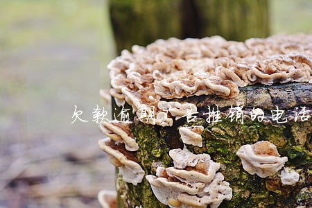 欠款逾期广告推销的电话要接吗 欠款逾期广告推销的电话要接吗