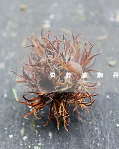 欠款逾期开庭审理 欠款逾期开庭审理