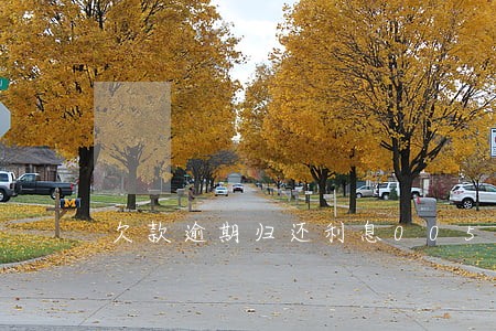欠款逾期归还利息005