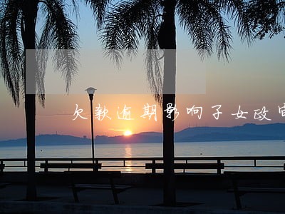 欠款逾期影响子女政审