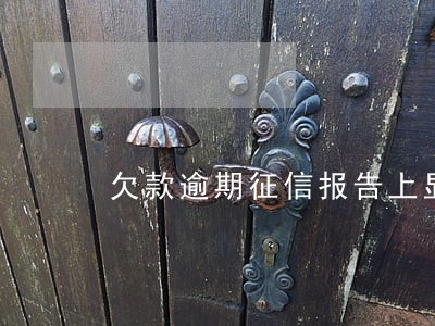 欠款逾期征信报告上显示未到期 欠款逾期征信报告上显示未到期