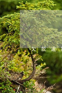 欠款逾期征信等级 欠款逾期征信等级