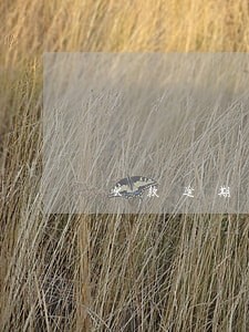 欠款逾期律师说下午上门 欠款逾期律师说下午上门