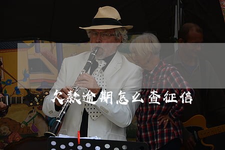 欠款逾期怎么查征信 欠款逾期怎么查征信