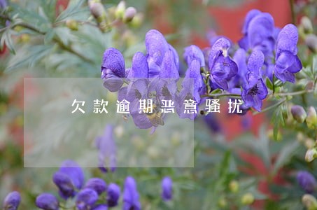 欠款逾期恶意骚扰 欠款逾期恶意骚扰