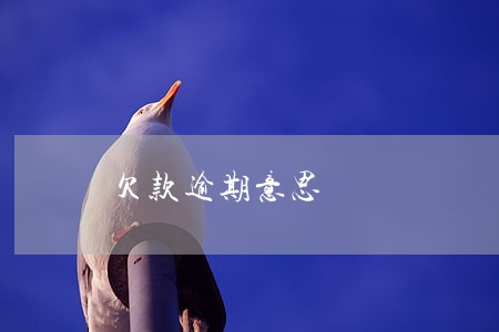 欠款逾期意思 欠款逾期意思