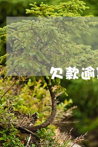 欠款逾期成果怎么写 欠款逾期成果怎么写