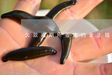 欠款逾期所签违约金生效吗 欠款逾期所签违约金生效吗