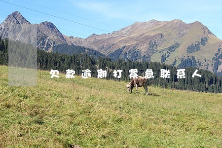 欠款逾期打紧急联系人 欠款逾期打紧急联系人