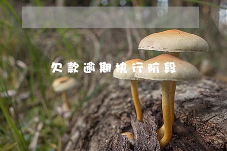 欠款逾期执行阶段 欠款逾期执行阶段