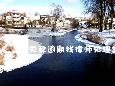 欠款逾期找律师处理需要什么资料 欠款逾期找律师处理需要什么资料