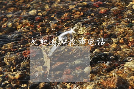 欠款逾期投诉电话 欠款逾期投诉电话