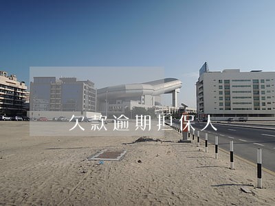 欠款逾期担保人 欠款逾期担保人