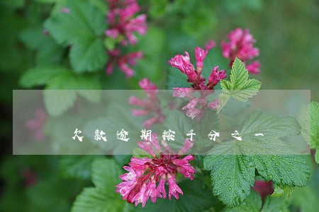 欠款逾期按千分之一 欠款逾期按千分之一