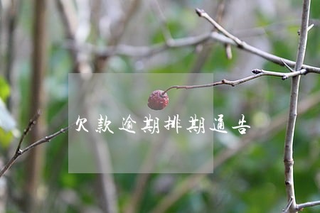 欠款逾期排期通告 欠款逾期排期通告
