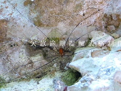 欠款逾期提醒表格制作