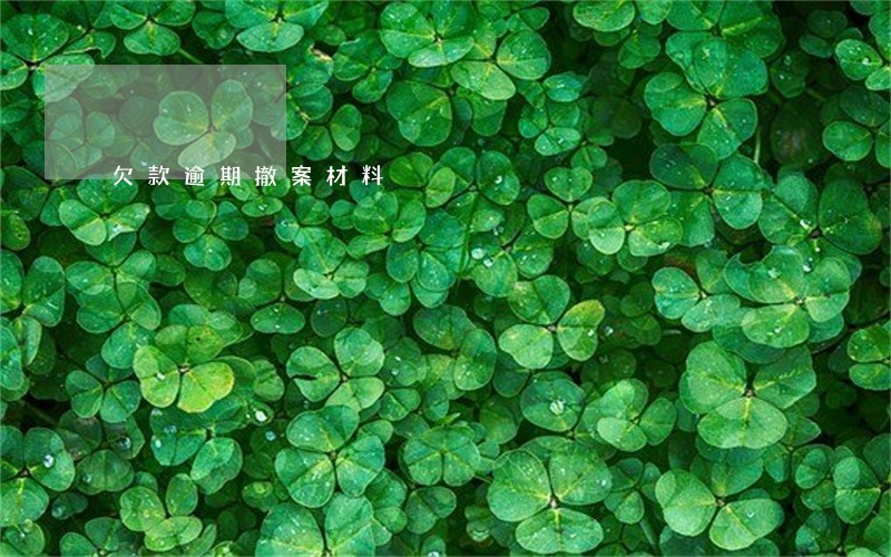 欠款逾期撤案材料 欠款逾期撤案材料