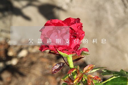 欠款逾期支付的利息