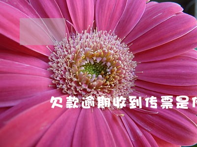 欠款逾期收到传票是什么感受 欠款逾期收到传票是什么感受
