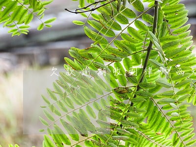欠款逾期收到律师函短信