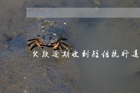 欠款逾期收到短信执行通知