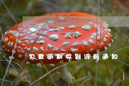 欠款逾期收到诉前通知