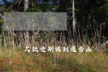 欠款逾期收到通告函 欠款逾期收到通告函