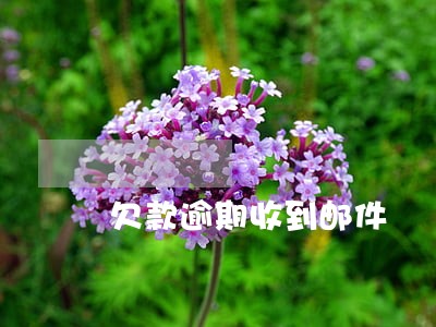 欠款逾期收到邮件 欠款逾期收到邮件
