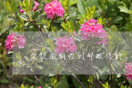 欠款逾期收到邮政信封 欠款逾期收到邮政信封