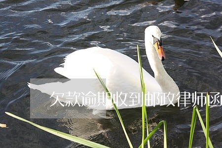 欠款逾期收到邮政律师函 欠款逾期收到邮政律师函