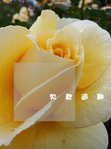 欠款逾期整理账单