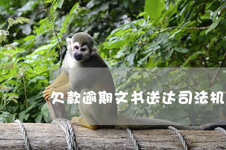 欠款逾期文书送达司法机关啥意思