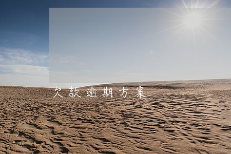 欠款逾期方案 欠款逾期方案