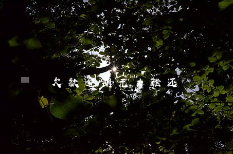 欠款逾期无力偿还 欠款逾期无力偿还