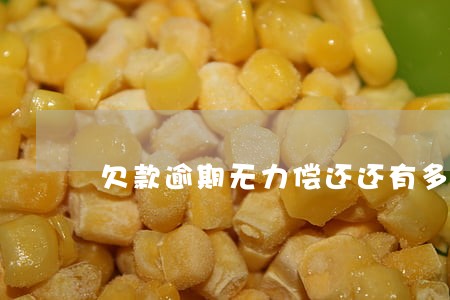 欠款逾期无力偿还还有多少钱 欠款逾期无力偿还还有多少钱